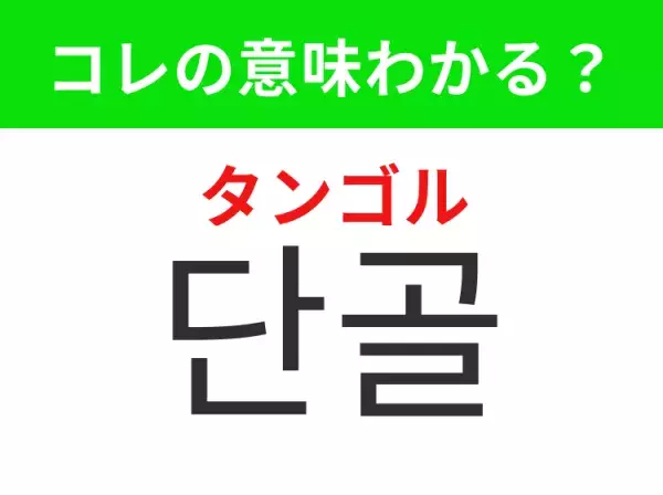 【韓国生活編】覚えておきたいあの言葉！「 단골（ タンゴル）」の意味は？