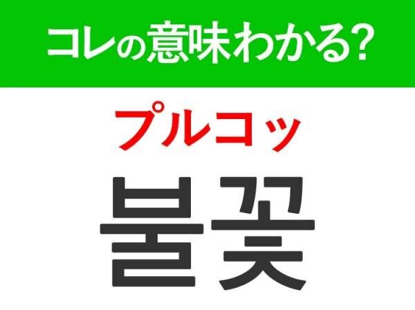 【韓国旅行に行く人は要チェック！】「가을（カウル）」の意味は？ようやくきたこの季節！覚えておくと便利な韓国語3選