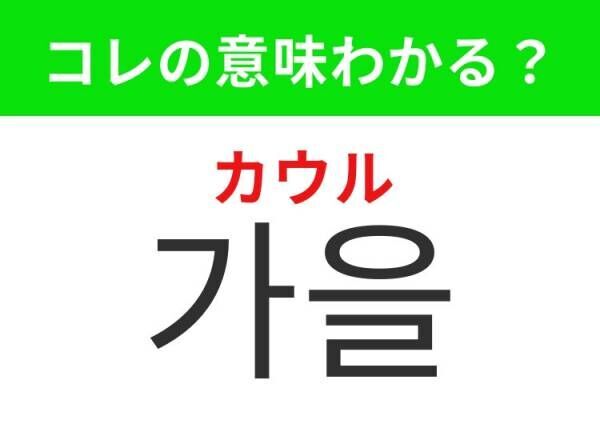 【韓国旅行に行く人は要チェック！】「가을（カウル）」の意味は？ようやくきたこの季節！覚えておくと便利な韓国語3選