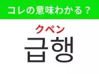 【韓国生活編】覚えておきたいあの言葉！「 급행（クペン）」の意味は？