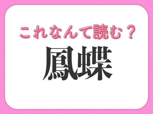 【鳳蝶】はなんて読む？夏の草原によく飛んでいます