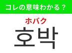 【韓国グルメ好きは要チェック！】「호박（ホバク）」の意味は？ハロウィンシーズンに欠かせないあの野菜！覚えておくと便利な韓国語3選
