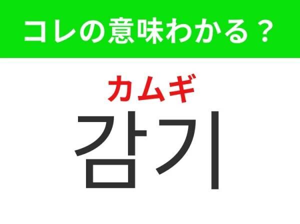 【韓国旅行に行く人は要チェック！】「의사（ウィサ）」の意味は？体調が悪いときに助けてくれるあのお仕事！覚えておくと便利な韓国語3選