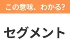 【ビジネス用語クイズ】「セグメント」の意味は？社会人なら知っておきたい言葉！