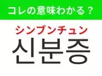 【韓国生活編】覚えておきたいあの言葉！「신분증（シンブンチュン）」の意味は？