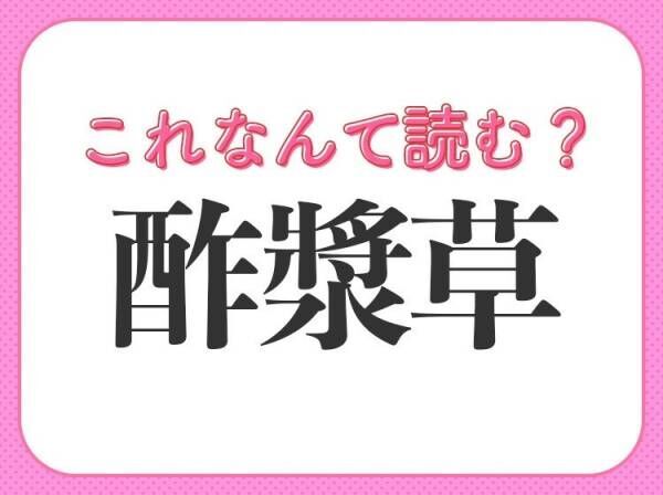 【酢漿草】はなんて読む？身近な花の名前！