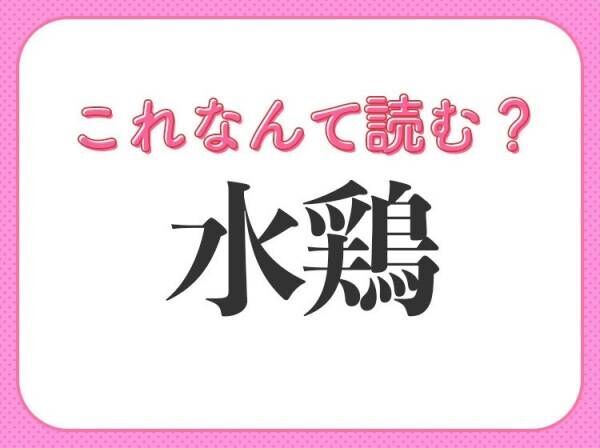 【水鶏】はなんて読む？ひらがな3文字の鳥！