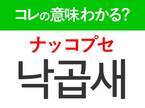 【韓国グルメ好きは要チェック！】「낙곱새（ナッコプセ）」の意味は？みんな大好きなあの食べ物！韓国旅行で使える単語3選