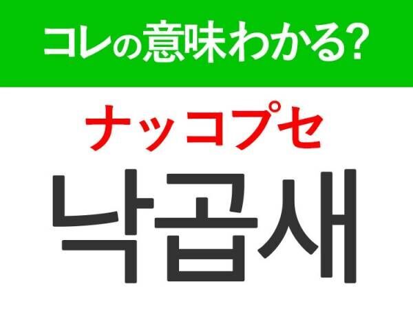 【韓国グルメ好きは要チェック！】「낙곱새（ナッコプセ）」の意味は？みんな大好きなあの食べ物！韓国旅行で使える単語3選