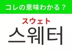 【韓国ファッション編】覚えておきたいあの言葉！「스웨터（スウェト）」の意味は？