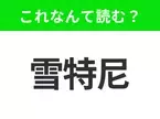 【国名クイズ】「雪特尼」はなんて読む？“オペラハウス”があるあの観光都市！