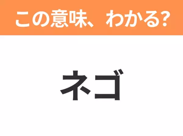 【ビジネス用語クイズ】「ネゴ」の意味は？社会人なら知っておきたい言葉！