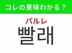 【韓国生活編】覚えておきたいあの言葉！「빨래（パルレ）」の意味は？