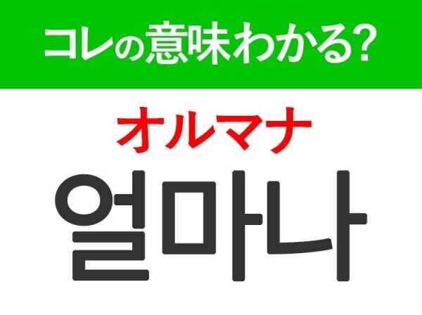 【韓国旅行に行く人は要チェック！】「짠（チャン）」の意味は？盛り上がるあの言葉ですよ♪韓国旅行で使える単語3選