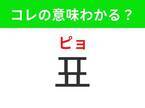 【K-POP好きは要チェック！】「표（ピョ）」の意味は？絶対に手に入れたいアレ！覚えておくと便利な韓国語3選