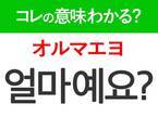 【韓国旅行に行く人は要チェック！】「얼마예요?（オルマエヨ）」の意味は？買い物をするときに言おう！現地で使える韓国語3選