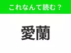 【国名クイズ】「愛蘭」はなんて読む？ おいしいお酒と音楽が楽しめるパブが魅力のあの国！