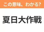 【中国語クイズ】「夏日大作戰」は何の映画タイトル？ネット上の仮想空間と現実世界で奮闘する少年たちの物語！