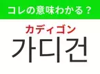 【韓国ファッション編】覚えておきたいあの言葉！「가디건（カディゴン）」の意味は？