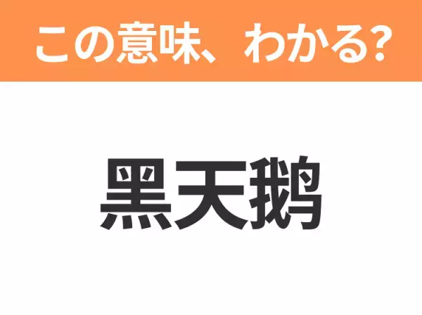 【中国語クイズ】「黑天鹅」は何の映画タイトル？バレエの美しさとストイックさが表現された心理スリラー作品！