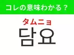 【韓国生活編】覚えておきたいあの言葉！「담요（タムニョ）」の意味は？