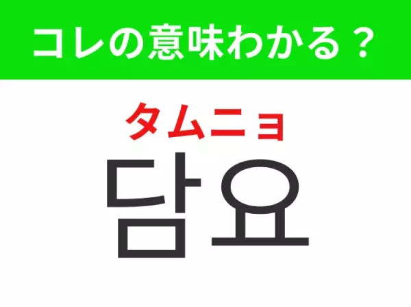 【韓国生活編】覚えておきたいあの言葉！「담요（タムニョ）」の意味は？