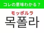 【韓国ファッション編】覚えておきたいあの言葉！「목폴라（モッポルラ）」の意味は？