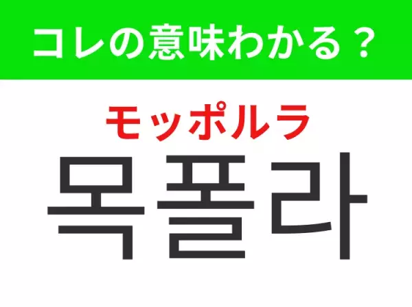 【韓国ファッション編】覚えておきたいあの言葉！「목폴라（モッポルラ）」の意味は？