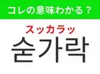 【韓国生活編】覚えておきたいあの言葉！「숟가락（スッカラッ）」の意味は？