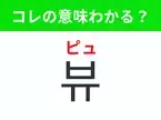 【韓国生活編】覚えておきたいあの言葉！「뷰（ピュ）」の意味は？