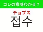 【韓国生活編】覚えておきたいあの言葉！「접수（チョプス）」の意味は？