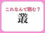 【叢】はなんて読む？ひらがな4文字の難読漢字