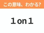 【ビジネス用語クイズ】「１on１」の意味は？社会人なら知っておきたい言葉！