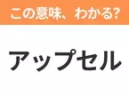 【ビジネス用語クイズ】「アップセル」の意味は？社会人なら知っておきたい言葉！