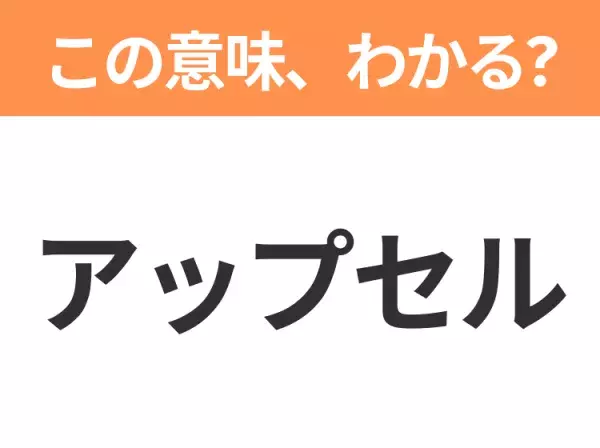 【ビジネス用語クイズ】「アップセル」の意味は？社会人なら知っておきたい言葉！