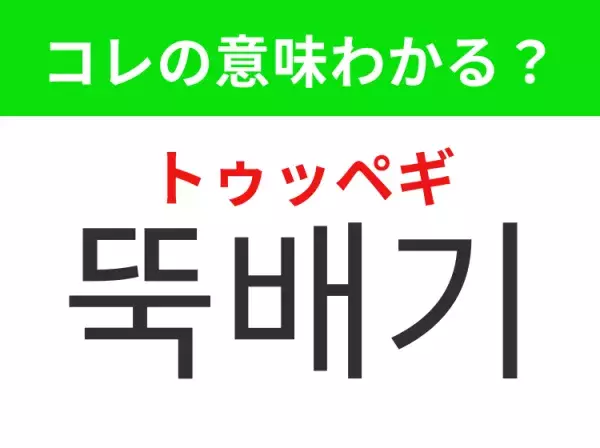 【韓国グルメ編】覚えておきたいあの言葉！「뚝배기（トゥッペギ）」の意味は？