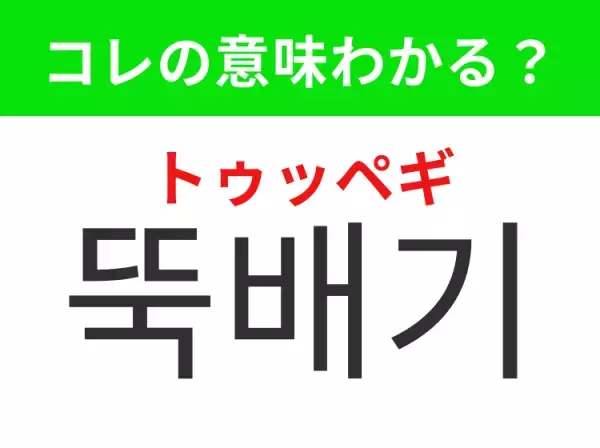 【韓国グルメ編】覚えておきたいあの言葉！「뚝배기（トゥッペギ）」の意味は？