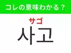 【韓国生活編】覚えておきたいあの言葉！「사고（サゴ）」の意味は？