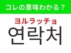 【韓国生活編】覚えておきたいあの言葉！「연락처（ヨルラッチョ）」の意味は？