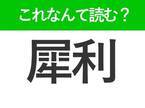 【犀利】はなんて読む？見る目があるという意味！