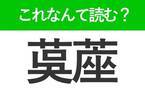 【茣蓙】はなんて読む？夏の敷物の一種