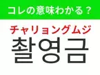 【K-POP編】覚えておきたいあの言葉！「촬영금지（チャリョングムジ）」の意味は？