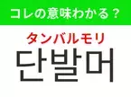 【韓国美容編】覚えておきたいあの言葉！「단발머리（タンバルモリ）」の意味は？