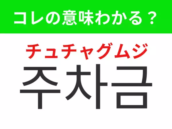 【韓国生活編】覚えておきたいあの言葉！「주차금지（チュチャグムジ）」の意味は？