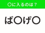 【穴埋めクイズ】難易度は低いんですが…空白に入る文字は？