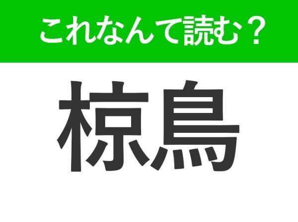 【椋鳥】はなんて読む？くちばしがオレンジ色の鳥です