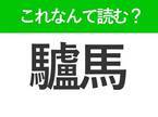 【驢馬】はなんて読む？英語で「ドンキー」と呼ぶ動物