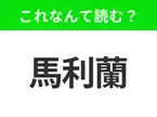 【地名クイズ】「馬利蘭」はなんて読む？そのまま読んでみて！アメリカで最も古い港湾都市として栄えた州！