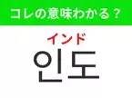 【韓国生活編】覚えておきたいあの言葉！「인도（インド）」の意味は？