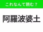 【地名クイズ】「阿羅波婆土」はなんて読む？そのまま読んで！インド北部の都市